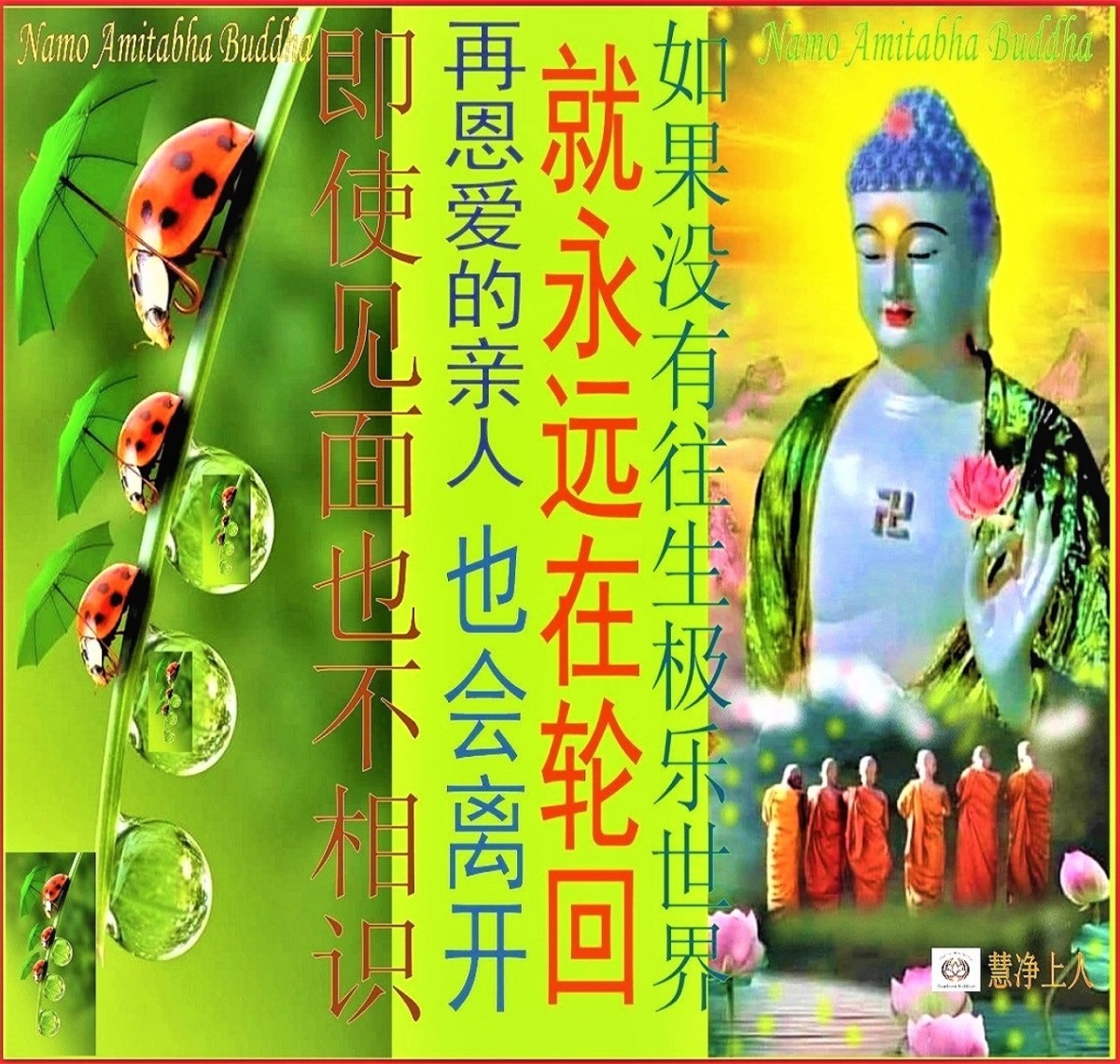 Short Teachings by Dharma Master Shi Hui Jing-5