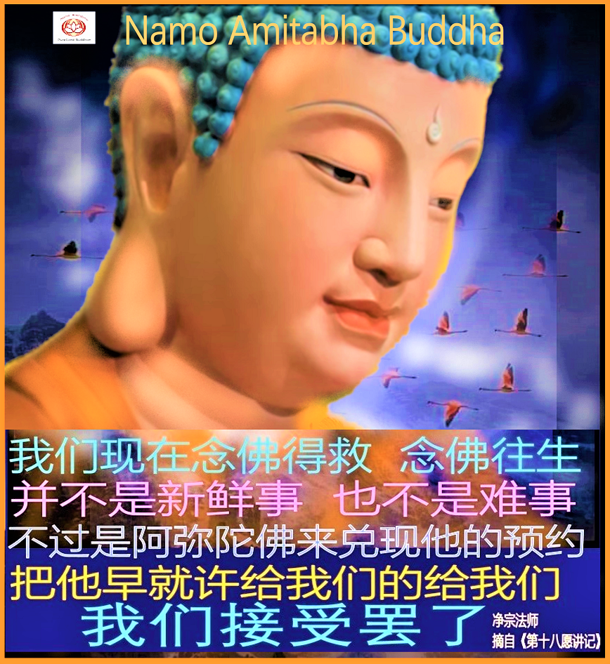 Dharma Words by Dharma Master Shi Jing Zong （15）